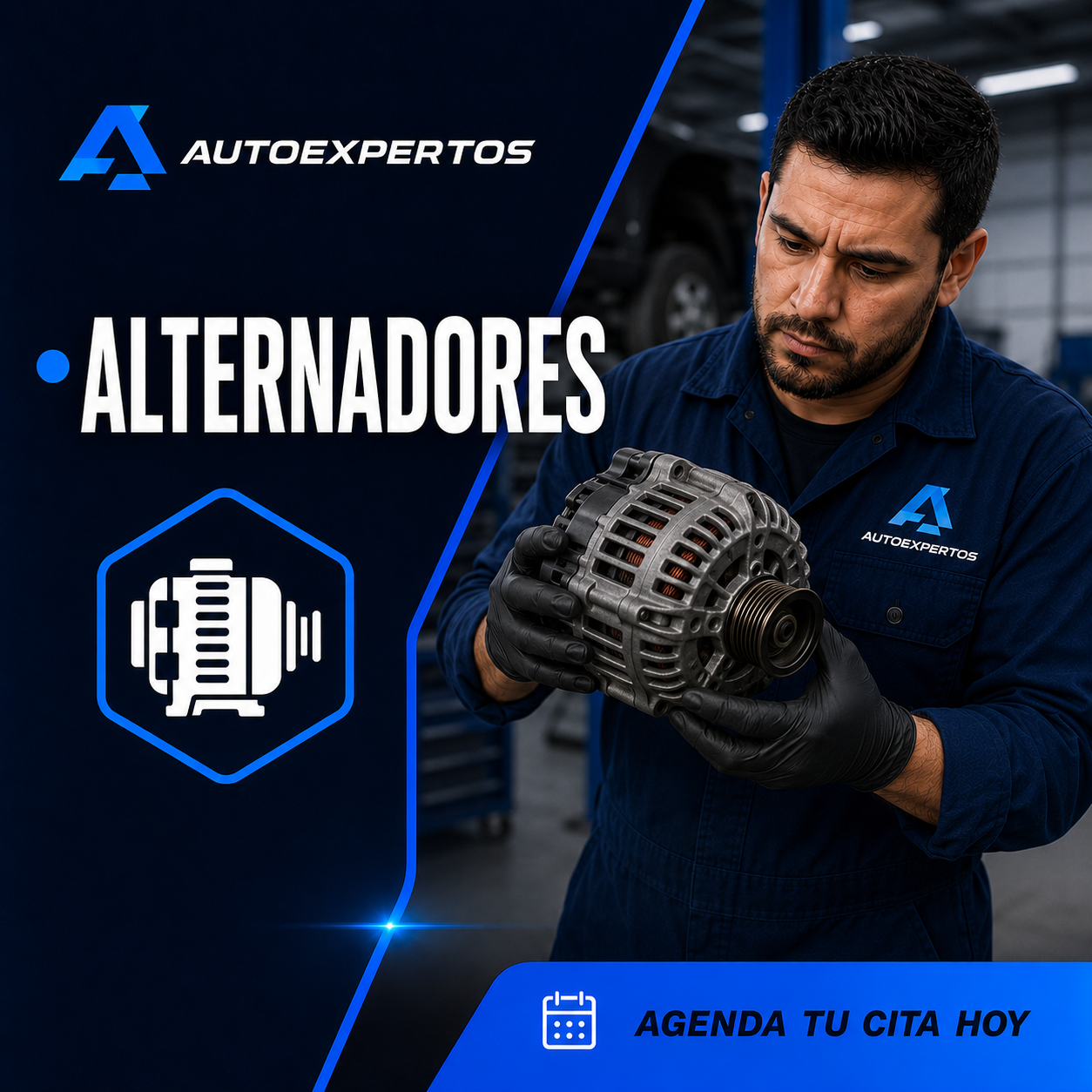 Alternador de vehículo preparado para su revisión