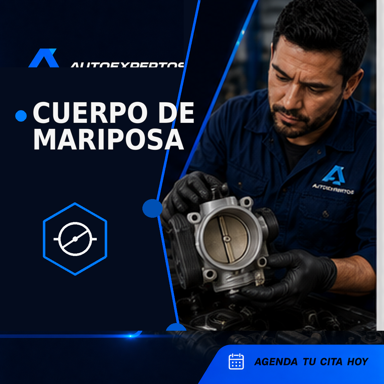 Cuerpo de mariposa de admisión