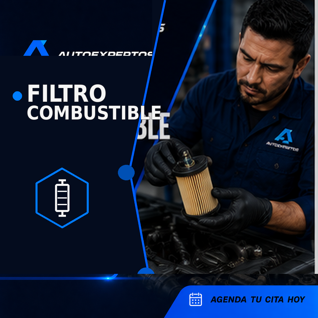 Filtro de combustible para proteger la inyección