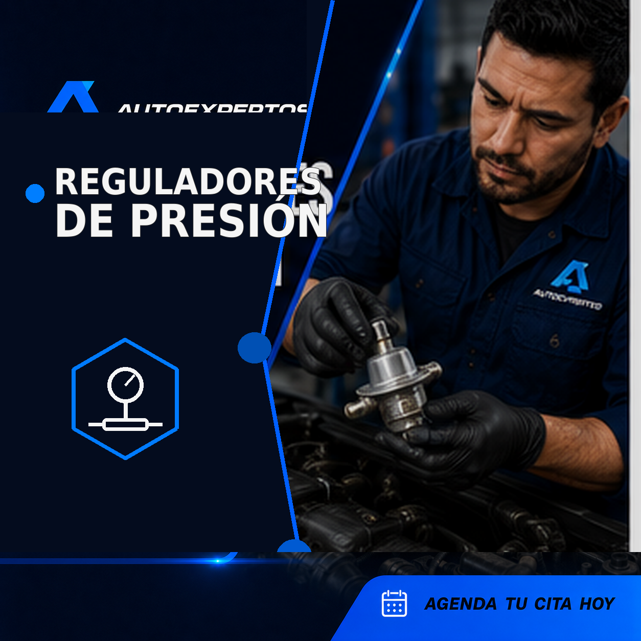 Reguladores de presión de combustible
